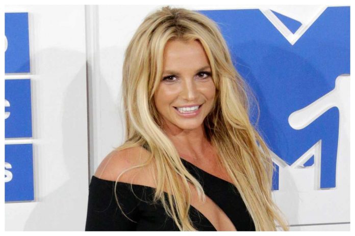 Britney Spears fan preoccupati