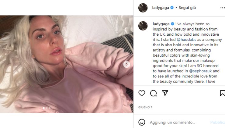 lady gaga naturale