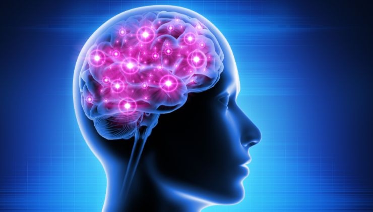 Musica e Cervello
