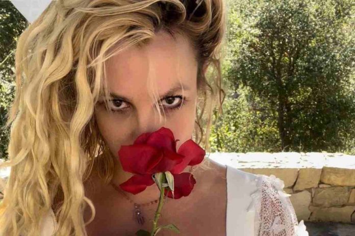 britney spears con una rosa britney spears e suo marito si separano