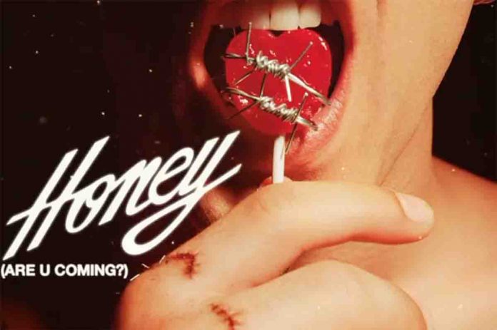 La copertina di Honey (Are U Coming?) dei Maneskin
